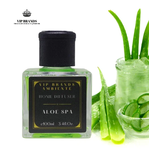 VIP BRANDS Raumduft Aloe Vera Reed Diffusor